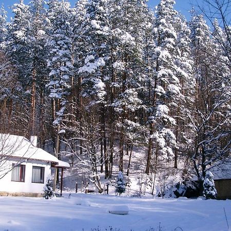 Holiday Home Tanevi Trjawna Exterior foto